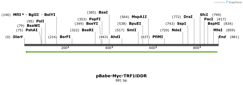 62903_map
