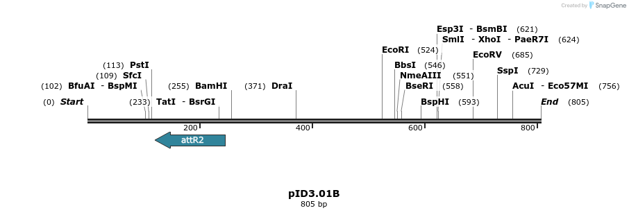 62904_map
