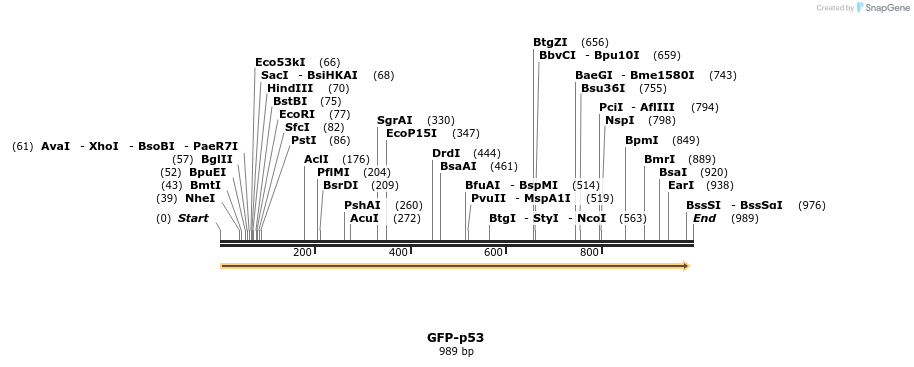62909_map