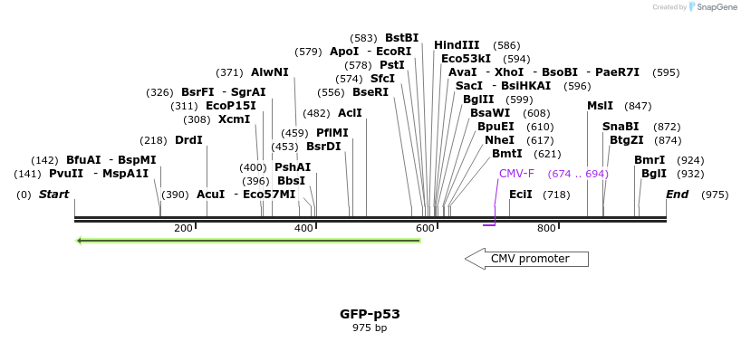 62910_map