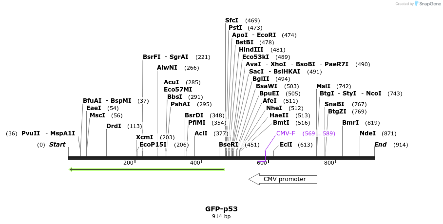 62912_map