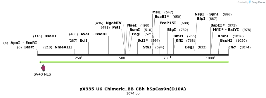 62940_map