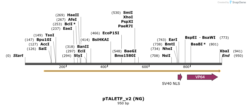 62953_map