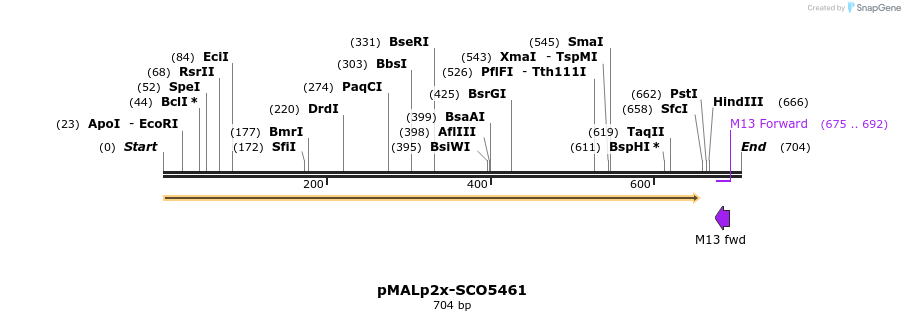 62954_map