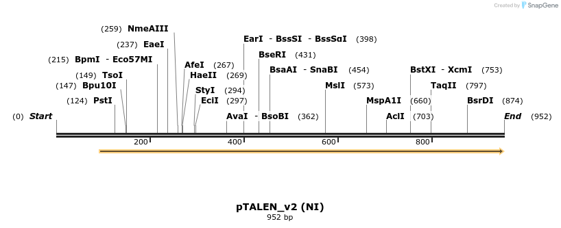 62974_map
