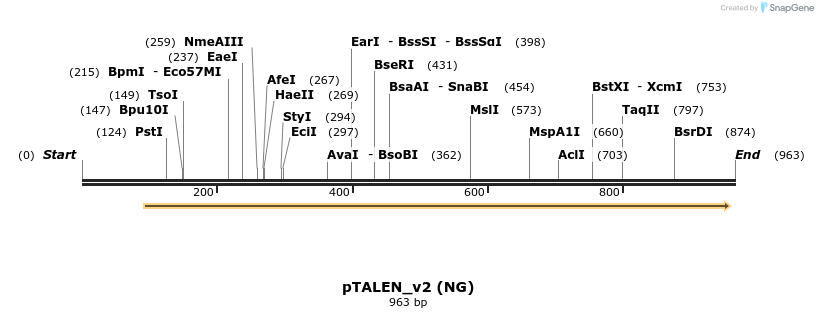 62978_map