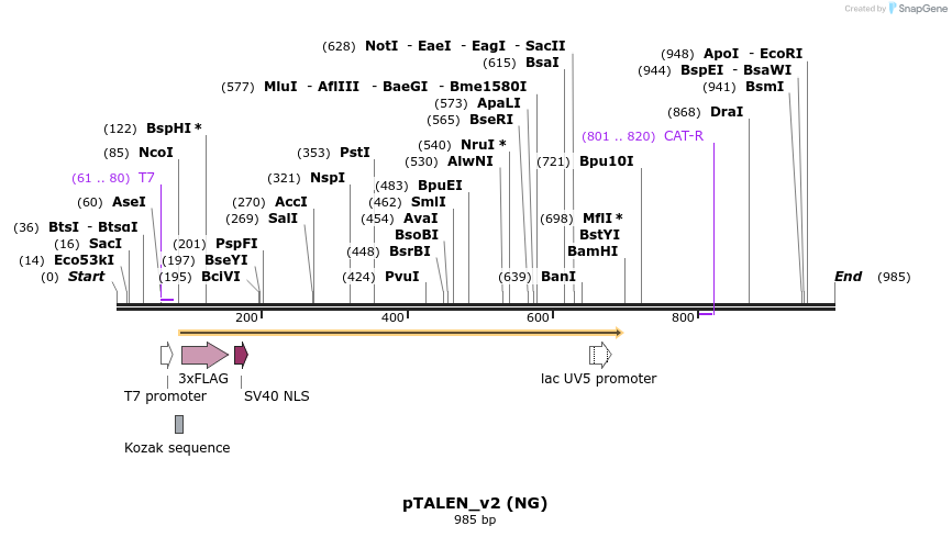 62985_map