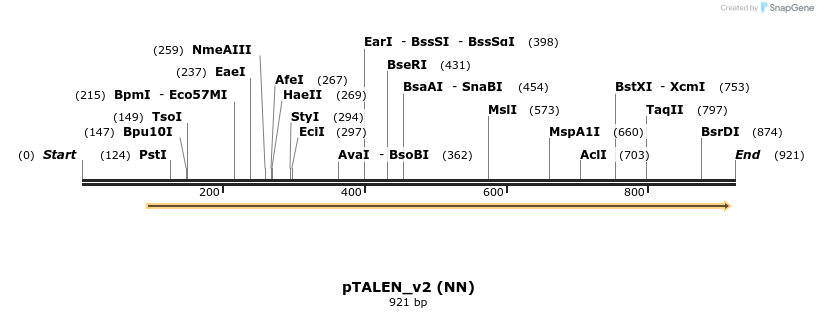 62988_map