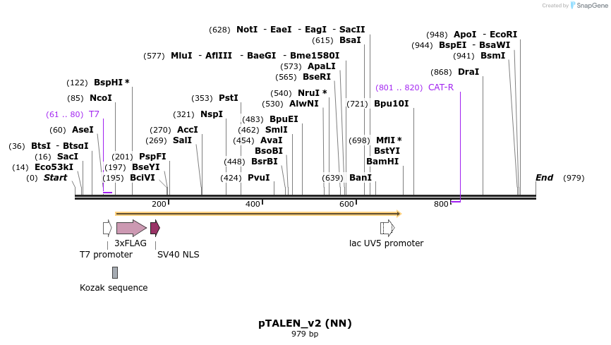 62991_map