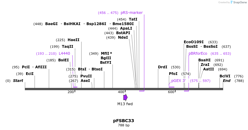 62996_map