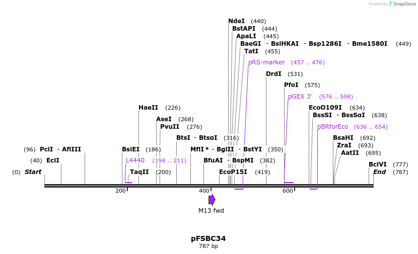 63003_map