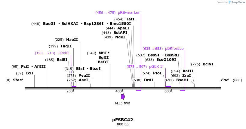 63004_map