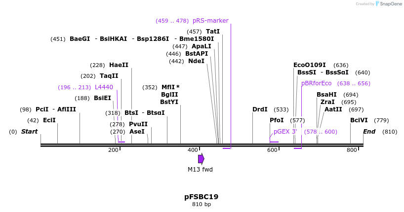 63007_map