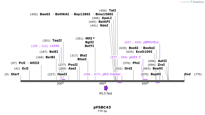 63010_map