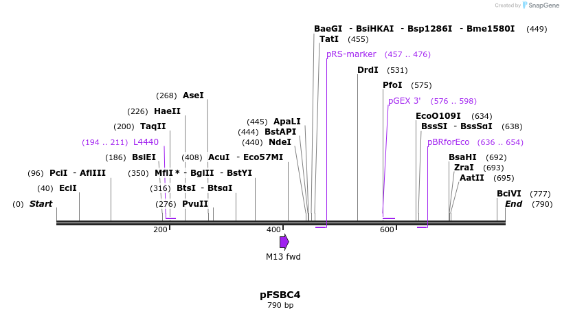 63011_map
