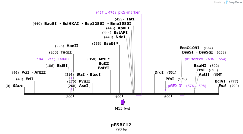 63012_map