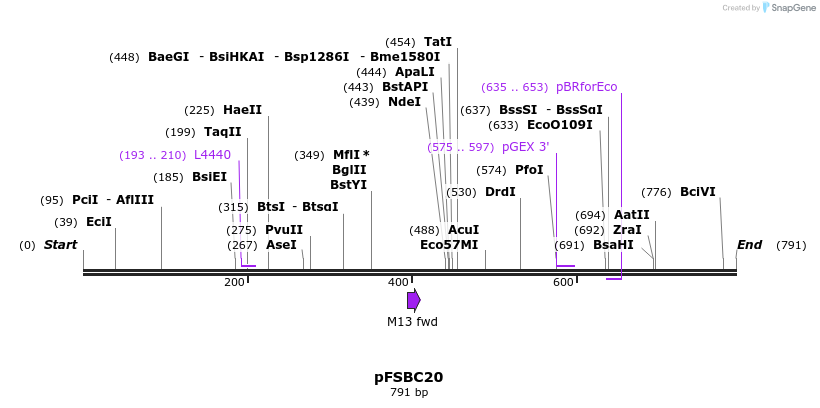 63013_map