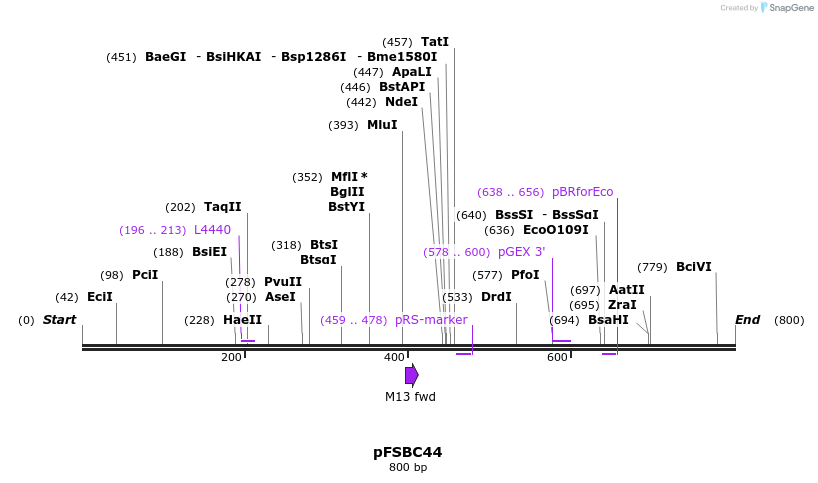 63016_map