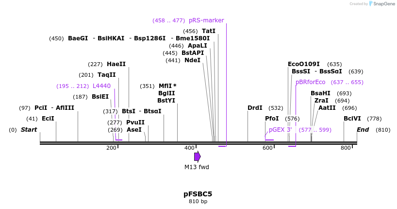 63017_map