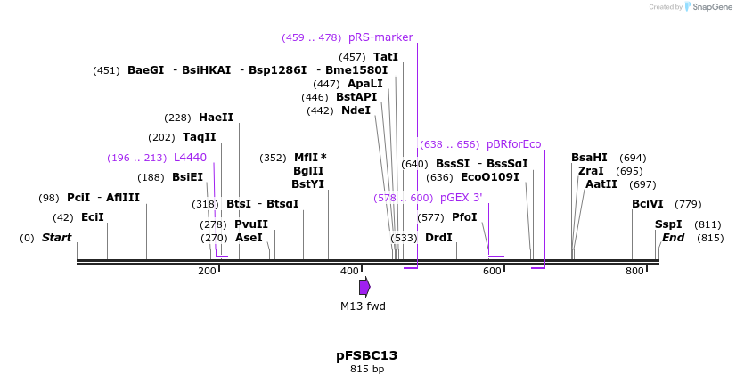 63018_map