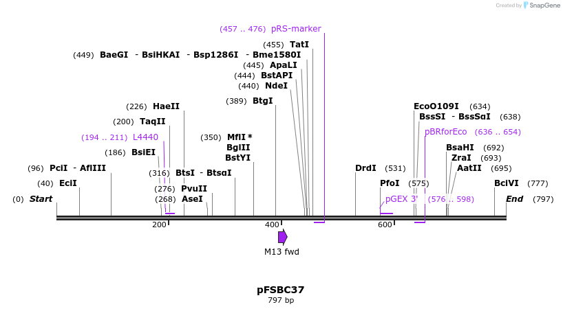 63021_map
