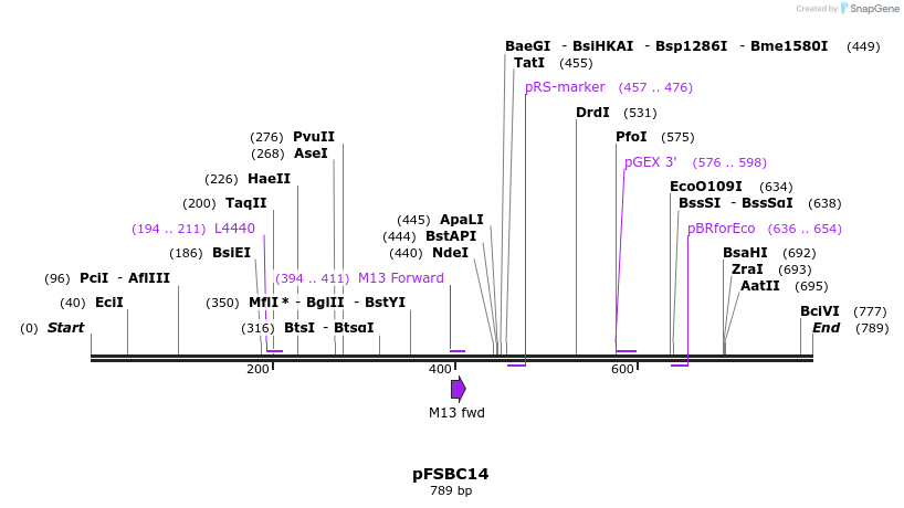 63024_map