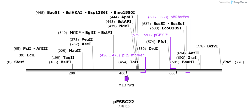 63025_map