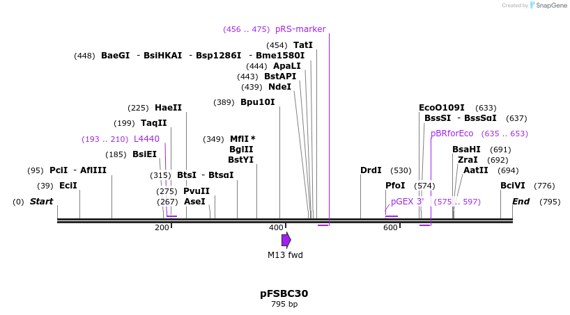 63026_map