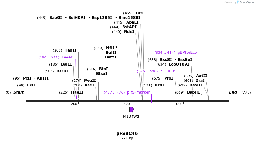 63029_map