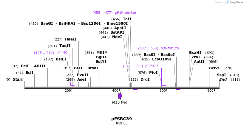 63038_map