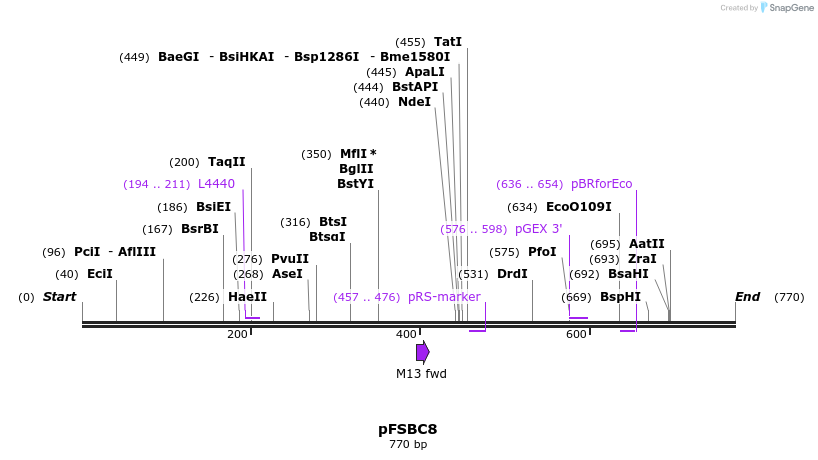 63040_map