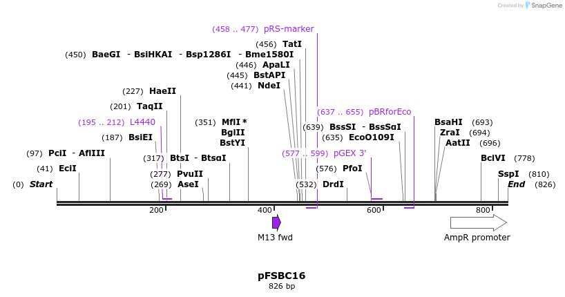 63041_map