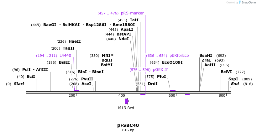 63046_map