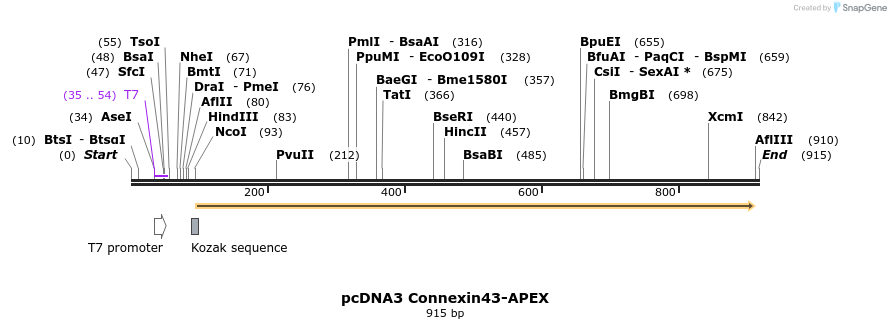 63055_map