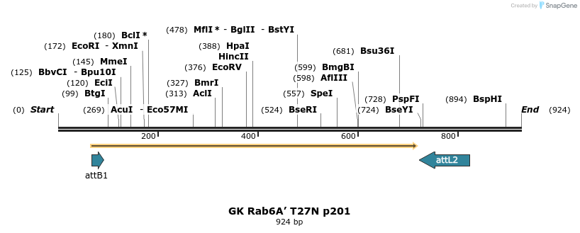 63057_map