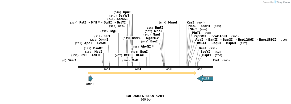 63058_map