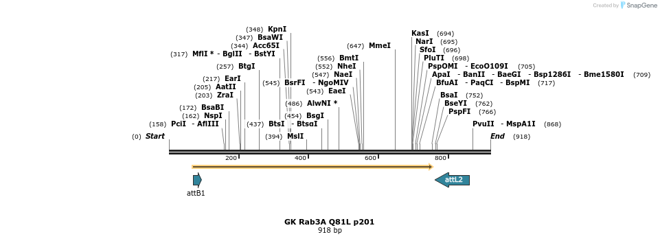 63059_map