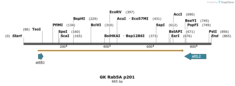 63060_map