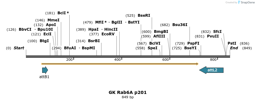 63062_map