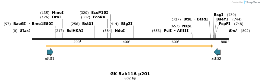 63068_map