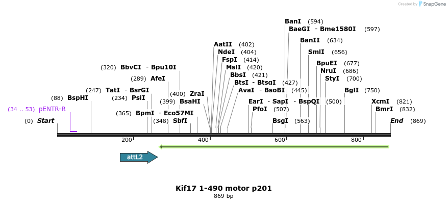 63072_map