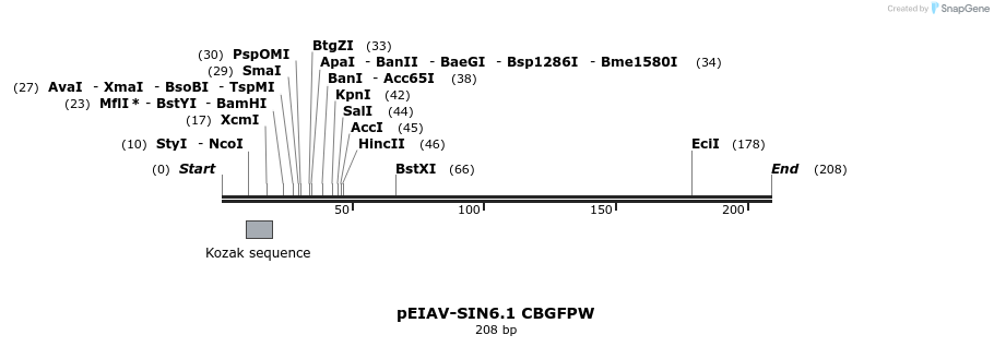 63076_map