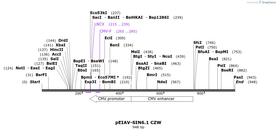 63078_map