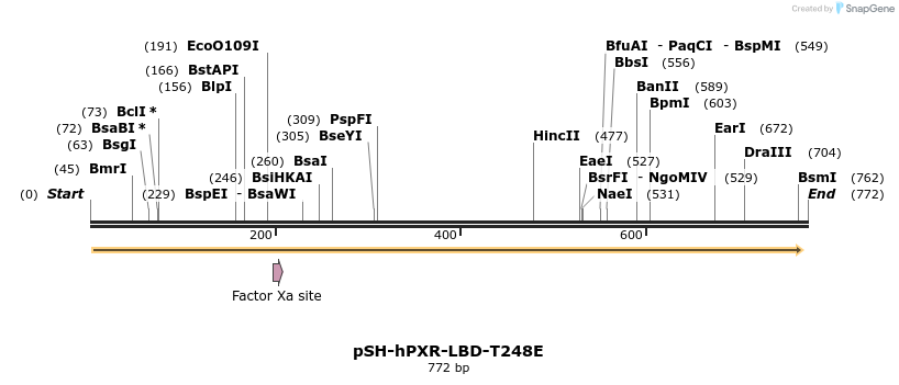63080_map