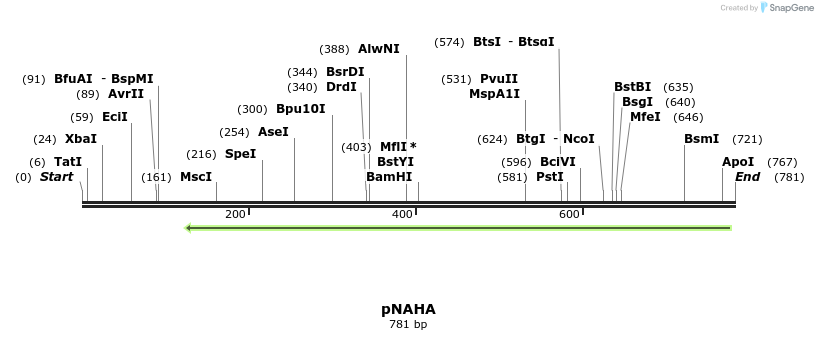 63084_map