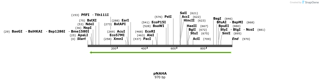 63086_map