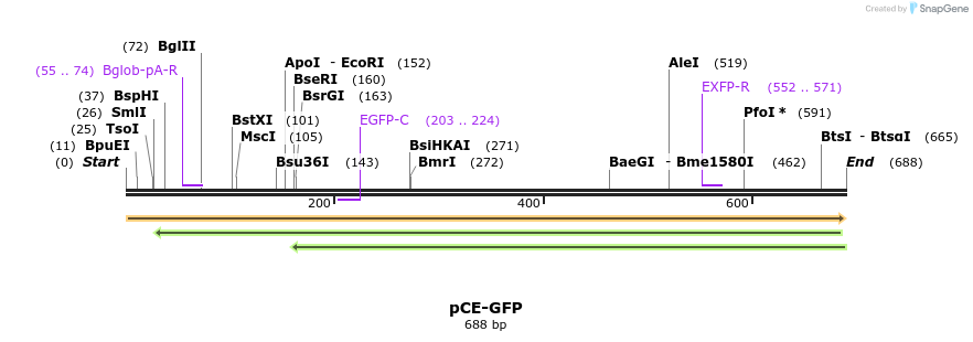 63087_map