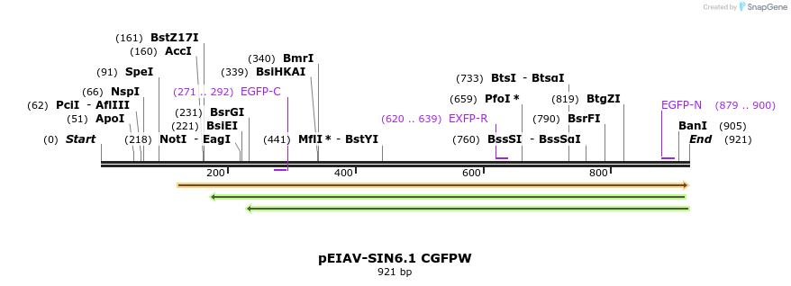 63091_map