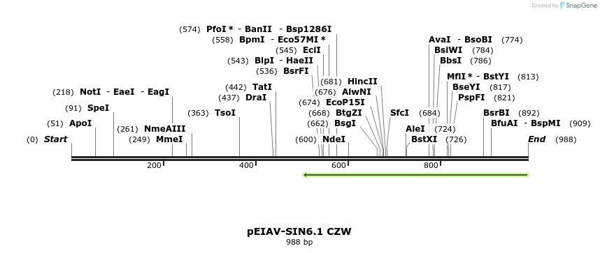 63093_map