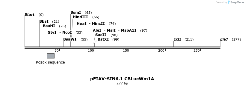 63100_map